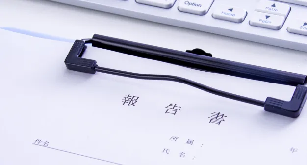 3.報告書の提出